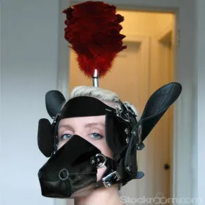 Pony Head Bridle. Patent Leather w/Plume