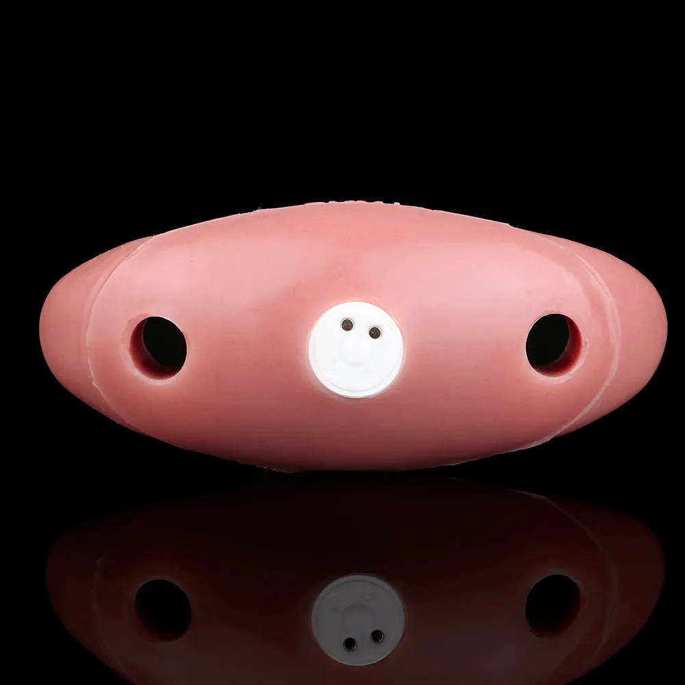 Realistic Dildo Anal Sex Toys - Vibrating Bullet Strapon Harness Tail Butt Plug