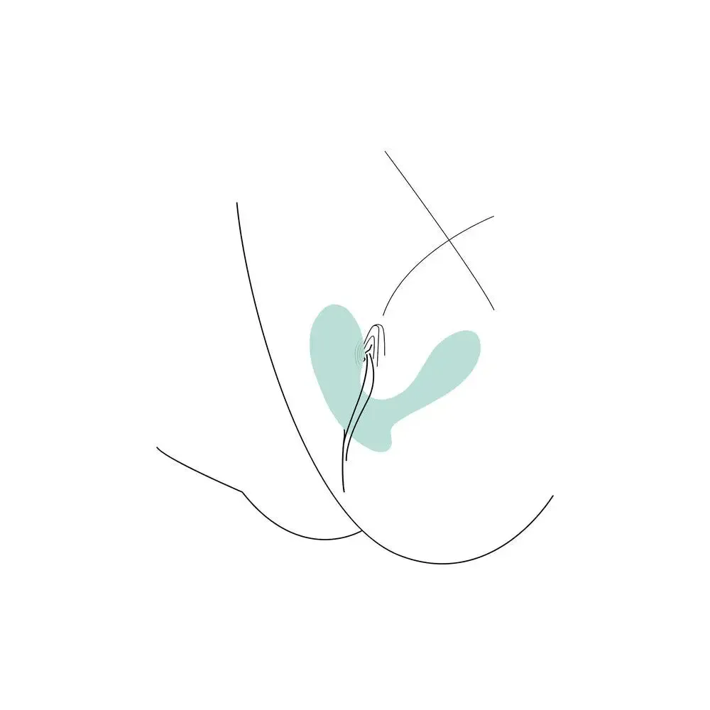 Xocoon Duovibe Ii Tapping Vibrator
